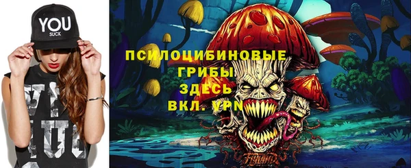 эйфоретик Абинск