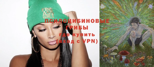 прущий лед Абаза