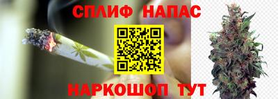 кокс Боровичи