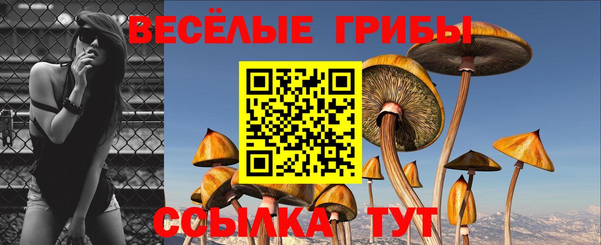 Псилоцибиновые грибы Psilocybine cubensis Лиски