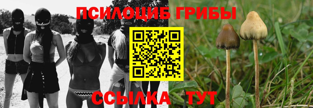 Псилоцибиновые грибы прущие грибы  купить  цена  Лиски  Вход с VPN 
